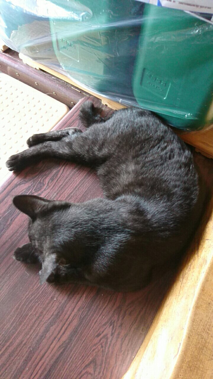 今日から河川除草工事開始