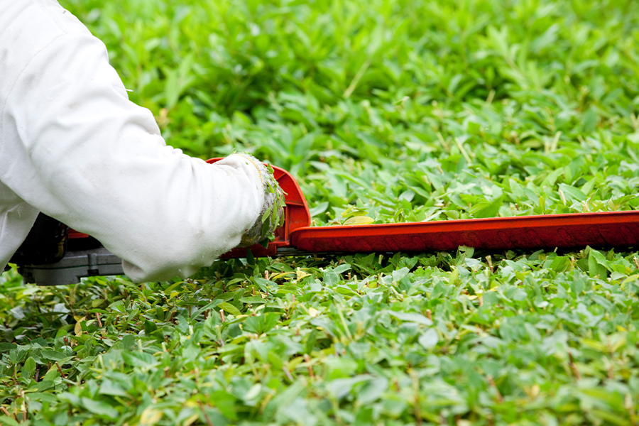 安心して成長できる育成環境